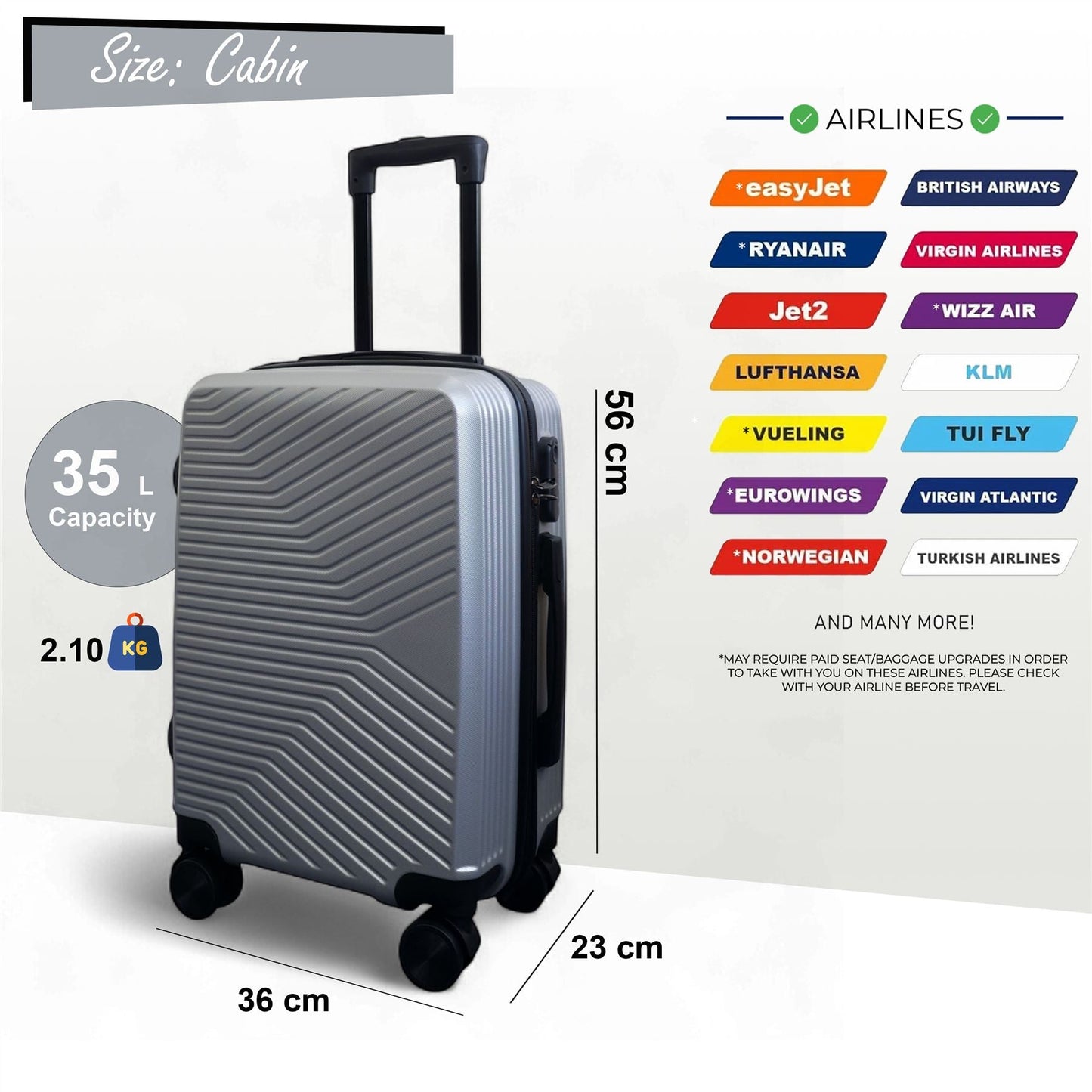 Junee Cabin Hard Shell Suitcase in Silver