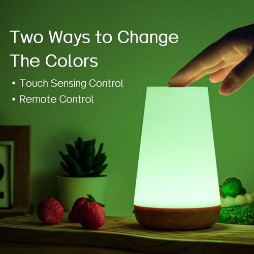 13 Color Changing Night Light RGB Remote Control Touch Dimmable Lamp Portable Table Bedside Lamps USB Rechargeable Night Lamp